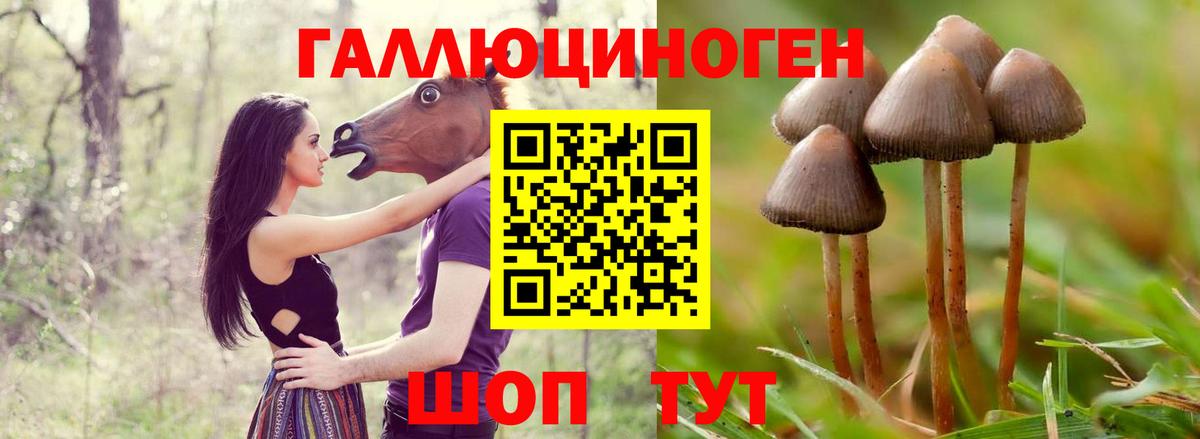 Галлюциногенные грибы мицелий  Галлюциногенные грибы Psilocybe  Элиста  Вход с VPN 