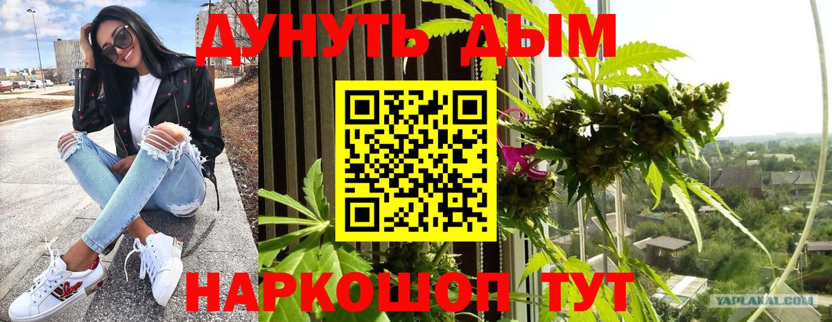 МАРИХУАНА семена  МАРИХУАНА Amnesia  Марихуана план  Шишки марихуана AK-47  Вход с VPN  Элиста 
